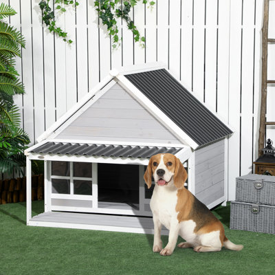Dejah Wood Dog House