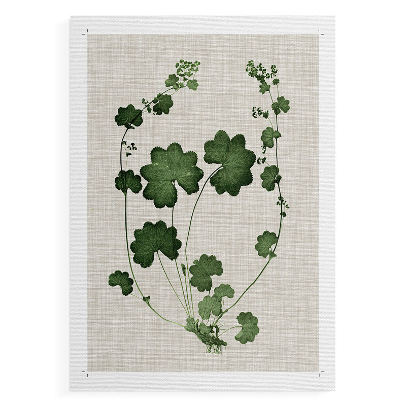 Forest Foliage on Linen II - reproduction de toile seulement - non encadrée, H 18 po x l 12 po