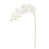 Blanc est en rupture de stock