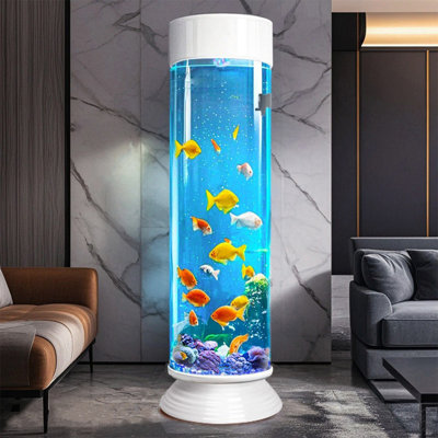 Aquarium aquarium moderne 20 à 20 gallons