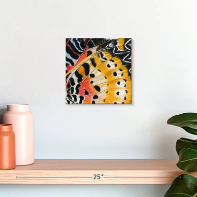 Brampt Monarch Butterfly Wing