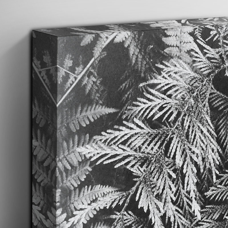 Ansel Adams - Wrapped Canvas Print, 40cm H x 60cm W