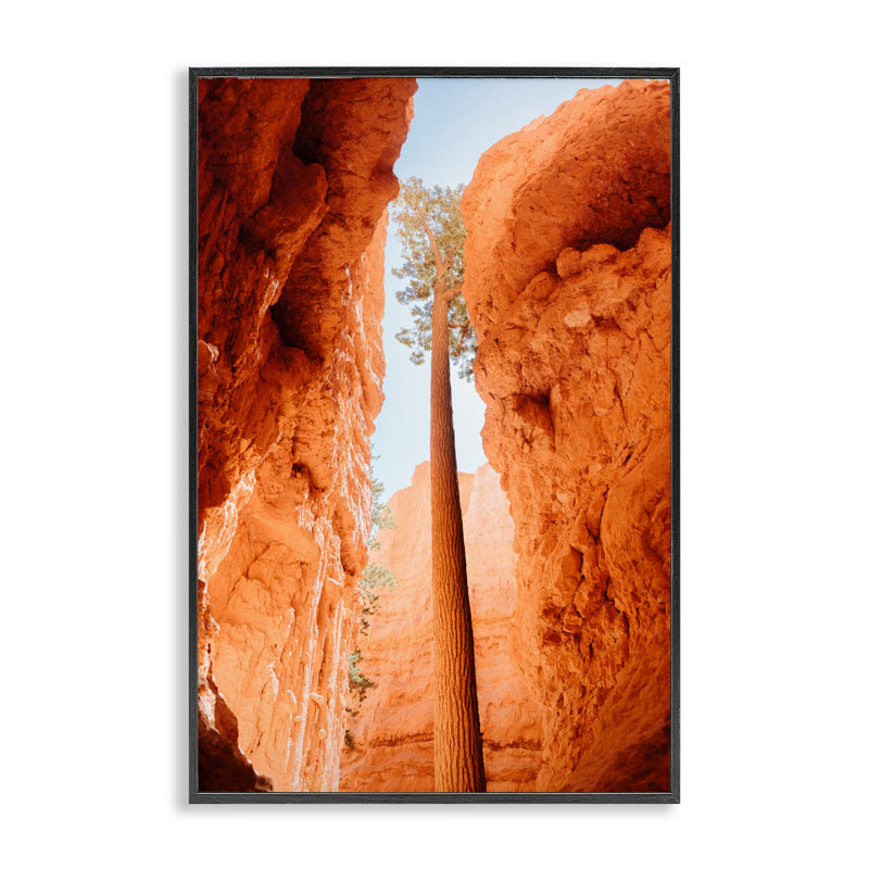 Jetée de Bryce Canyon, giclée encadrée, conception par Jade Sharp Photo, H 18 po x l 12 po, Giclée encadrée noir minuit