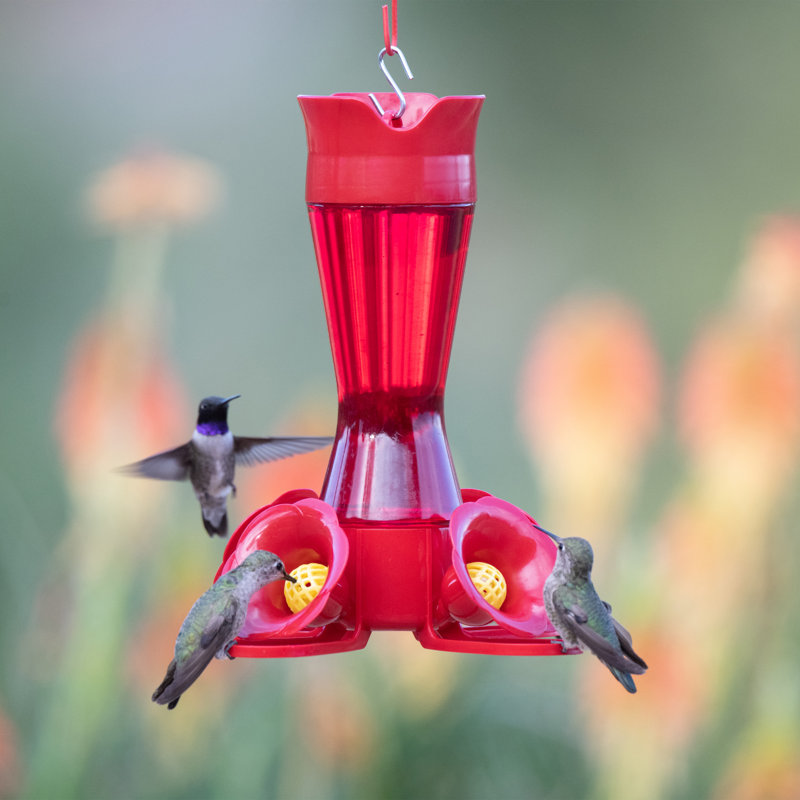 Mangeoire colibri en plastique Elsass