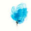 « expressif fleuris vi », impression sur toile-29090359-72798750-72798755