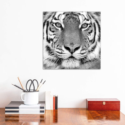 «Tiger» par PhotoINC Studio - impression d'art graphique