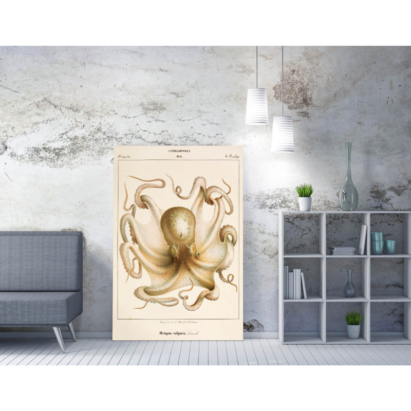 vintage octopus illustration 3 Canvas Wall Art Print Picture, 30.48 cm H x 20.32 cm W