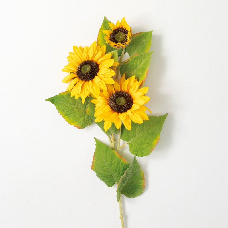 Ensemble de 3 jets de tournesol Sullivan pour décoration de tous les jours, 38 po de hauteur,
