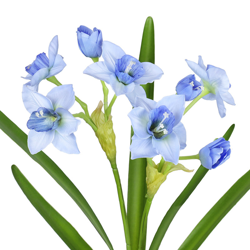 Tulipes, Bleu