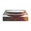 Coral Reef Acrylic Decorative Tray-1605604315
