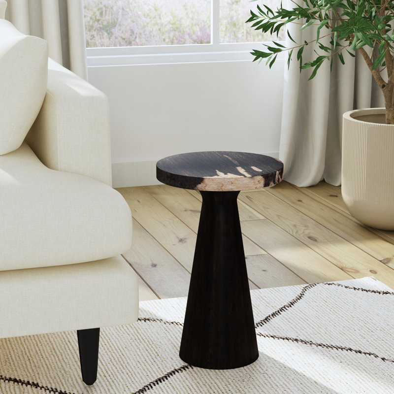 Petrified Wood Pedestal Table, Black