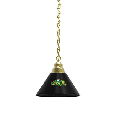 Luminaire suspendu conique à 1 lumière NCAA