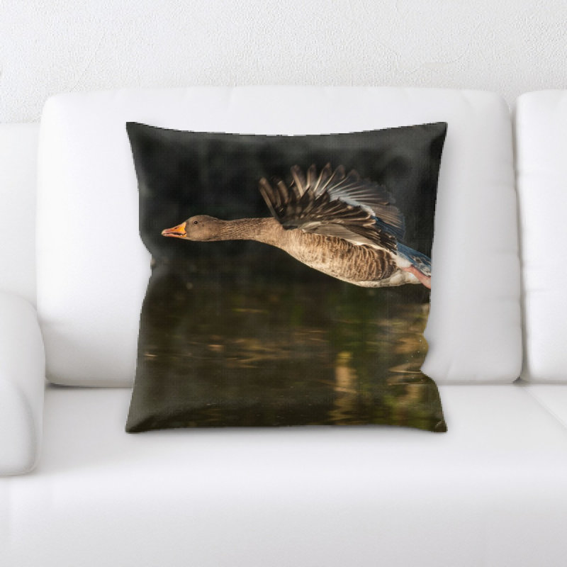 Coussin en oies
