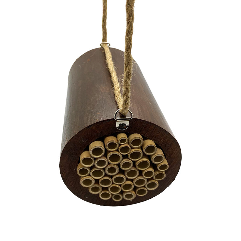 Rhinebolt Hanging Insect House