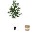 Arbre de camélia artificiel, plante en pot pour décoration de porche intérieur