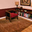 Ammonite Hand Tufted Wool Area Rug in Ocre-82964914