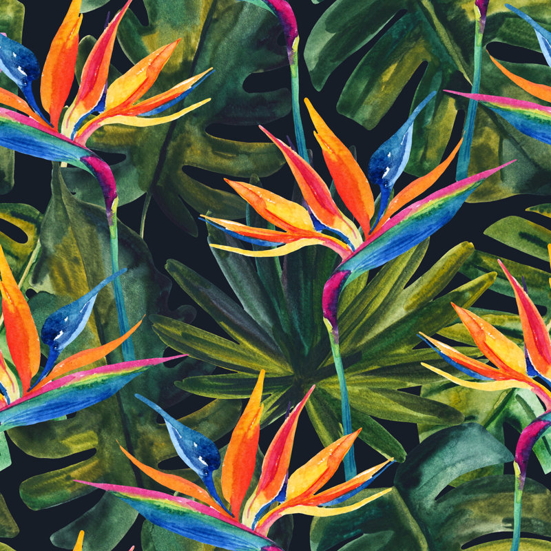 Allemans, oiseaux du paradis sur toile par Tanya Syrytsyna, peinture, H 12 po x l 12 po