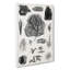 Collection of Fossils II by Oliver Goldsmith - Wrapped Canvas Drawing - Wrapped Canvas-55371218