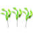 Lime Green