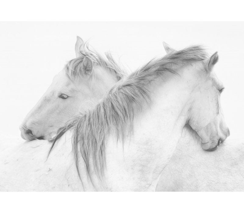 Wrapped Canvas Print, 50.8 cm H x 76.2 cm W