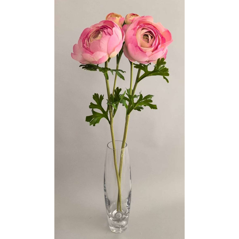 FRESH-TOUCH RT.RANUNCULUS X1F1B 22 po, Pink