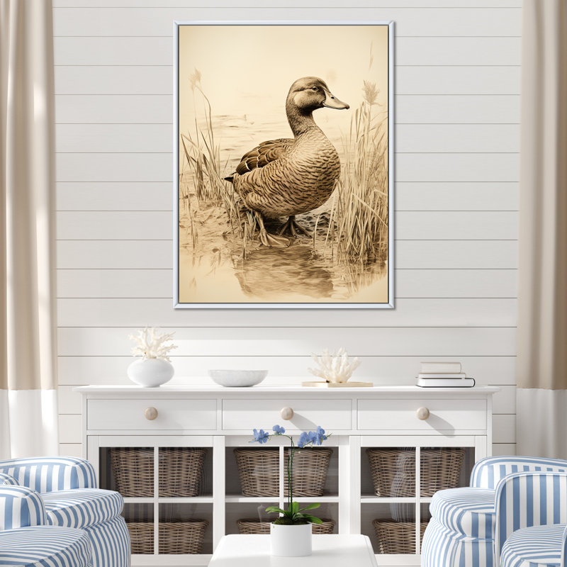 «Brown Duck Elegance II» - Art mural animal canard, Cadre flottant blanc, 20" H x 12" W