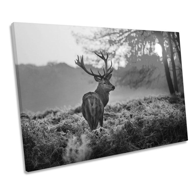 Stag Deer Sunset Forest B&W - Wrapped Canvas Print, 30.5cm H x 45.7cm W x 2cm D