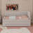 Upholstered Daybed With Trundle And Drawers-1656248879-1656248872