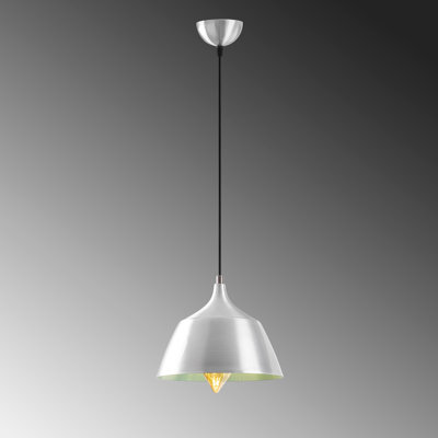 1 - Light Single Pendant