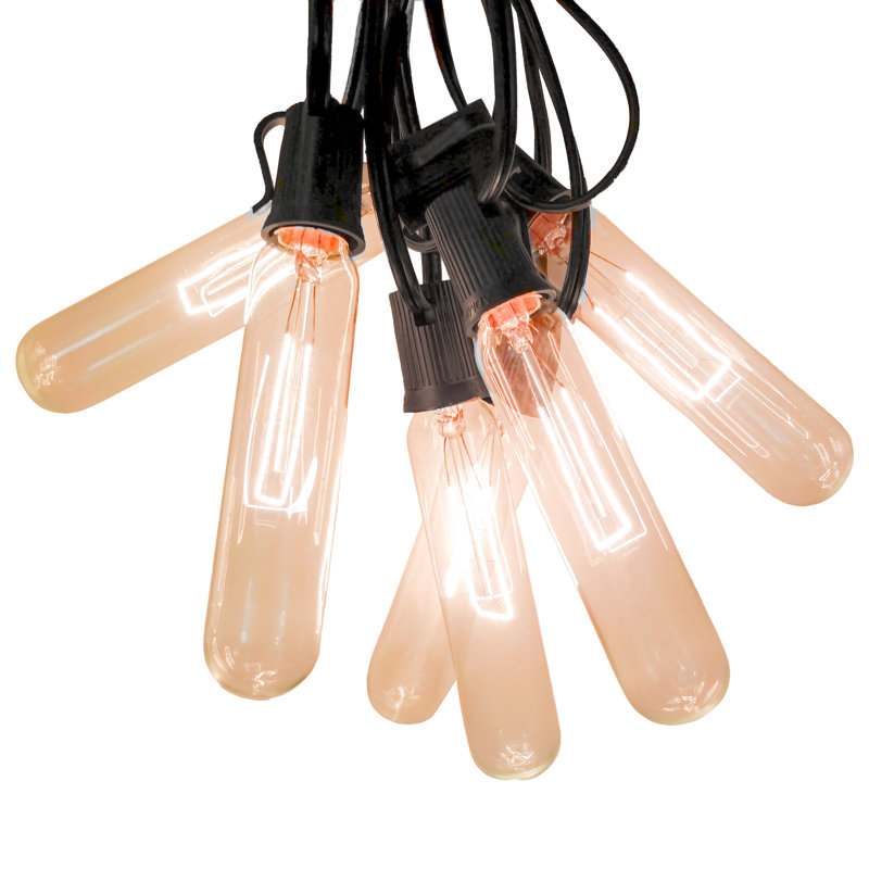 Edison String Lights Outdoor 100 - Bulb 100'' Plug-in String Light