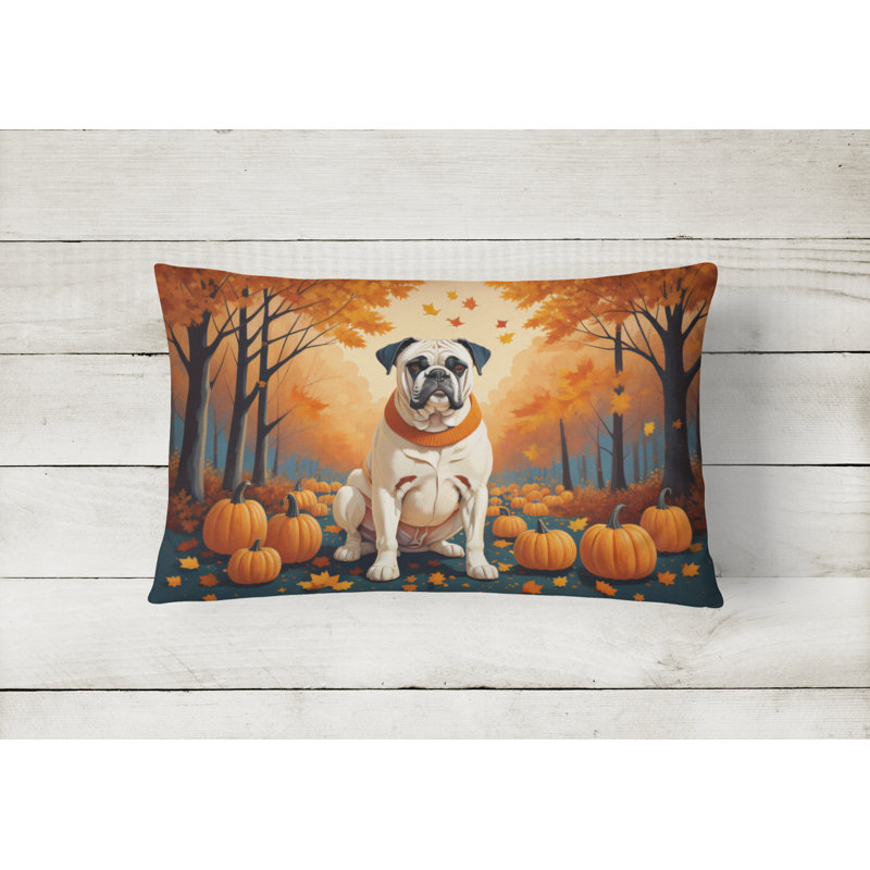Other/No Pattern Outdoor Throw Pillow