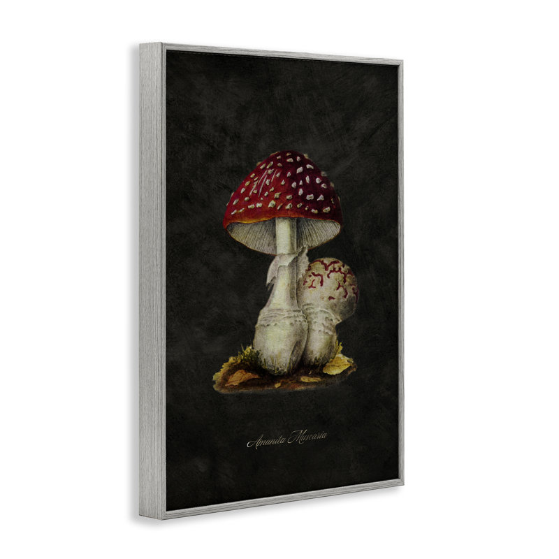 Paire de champignon rustique, estampe numérique par Tina Higgins Designs, Inc., Estampe numérique Farmhouse