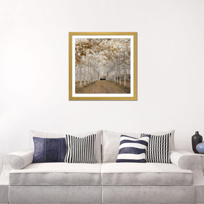 " White Gold " by Assaf Frank