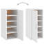 Armoire à chaussures vidaXL-670203981