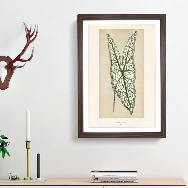 Heart of Jesus Leaf by Benjamin Fawcett - Picture Frame Painting Print, 87cm H x 62cm W x 2cm D, Walnut Framed