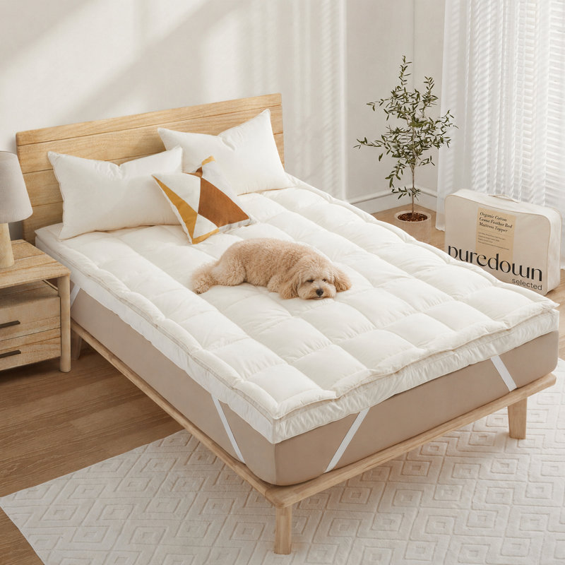 Ultra Plush 3inch Thick Feather Bed Mattress Topper, 100% Organic Cotton Shell, King