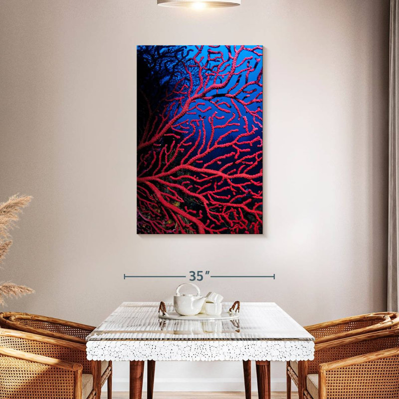 Brampt Violescent Sea Whip, 45" H x 30" W