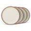 Dinner Plate - Set of 4-718284303