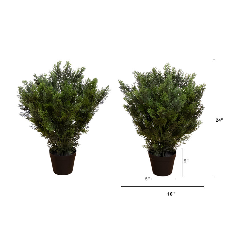 2ft. Artificial Cedar Tree UV Resistant (Indoor/Outdoor) - Set of 2, 24" H x 16" W x 16" D