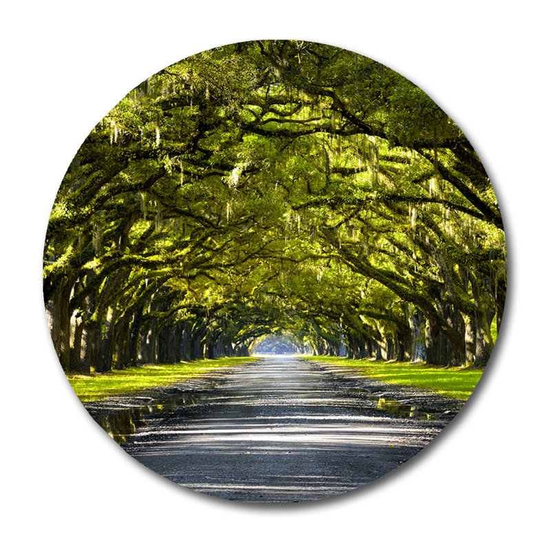 The Path Home Print, 24" H x 24" W x 1" D, Aluminum