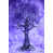 Purple selected
