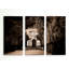 «A Premium», ensemble de 3 reproductions de photos sur toile-1771881115