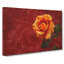 Orange Rose In Bloom - Wrapped Canvas-56630334