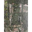 Verdant - Original Mixed-Media Abstract Painting by J. Kent Martin