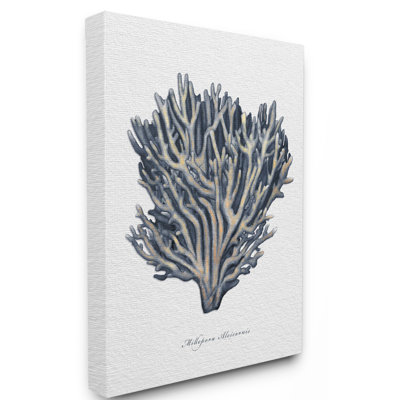 " Sea Life Coral Watercolor Painting "