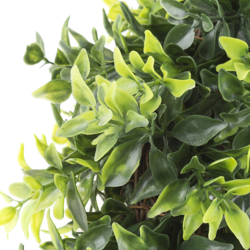 11.5" Faux Green Basil Leaf Artificial Wreath for All Seasons