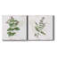 «Kitchen Garden I», ensemble de 2 reproductions d'art sur toile tendue-1563664917