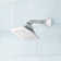 Signature Hardware Vilamonte Shower Head and Arm