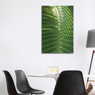 Palm Detail I by Wild Apple Portfolio - Wrapped Canvas Gallery-Wrapped Canvas Giclée