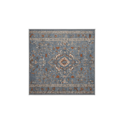 Machine Washable Gray Area Rug